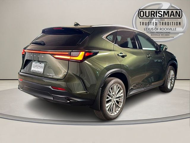 2025 Lexus NX 350h Luxury