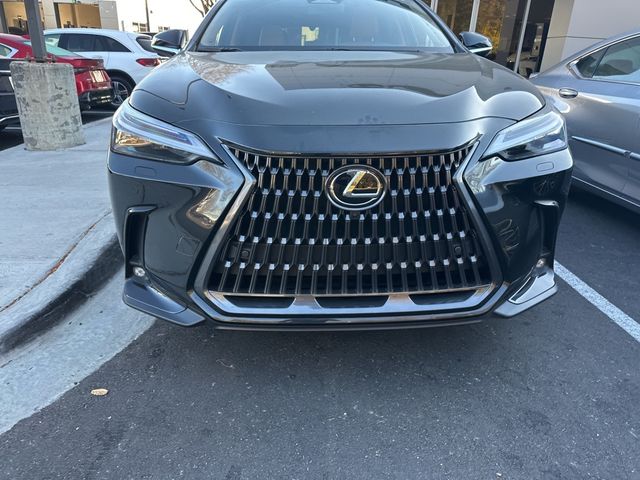 2025 Lexus NX 350h Luxury