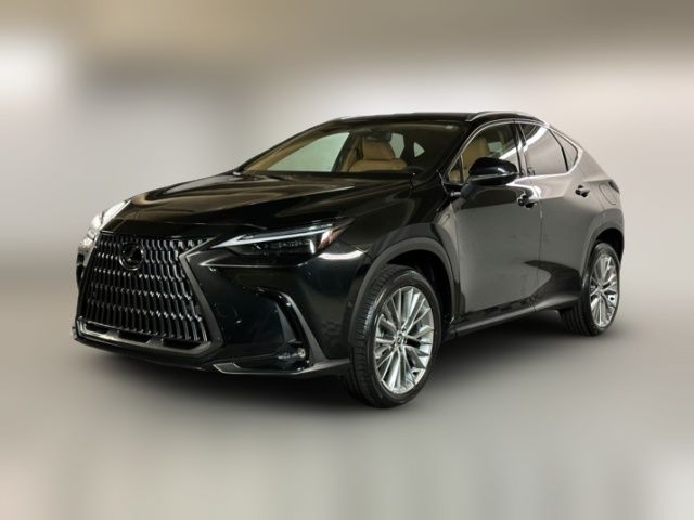 2025 Lexus NX 350h Luxury