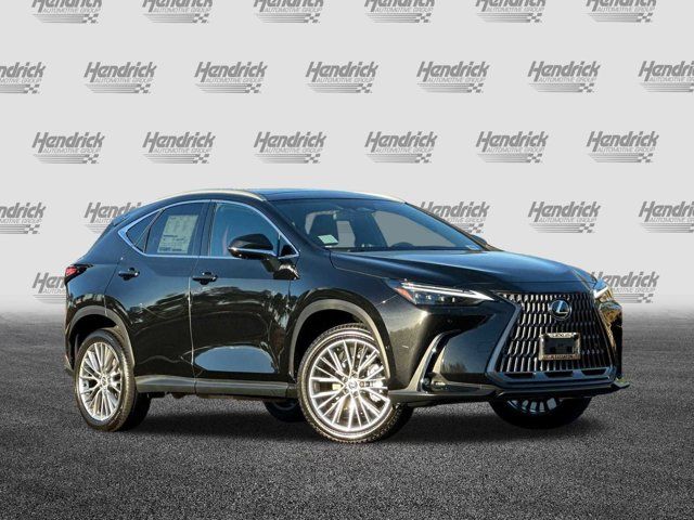 2025 Lexus NX 350h Luxury