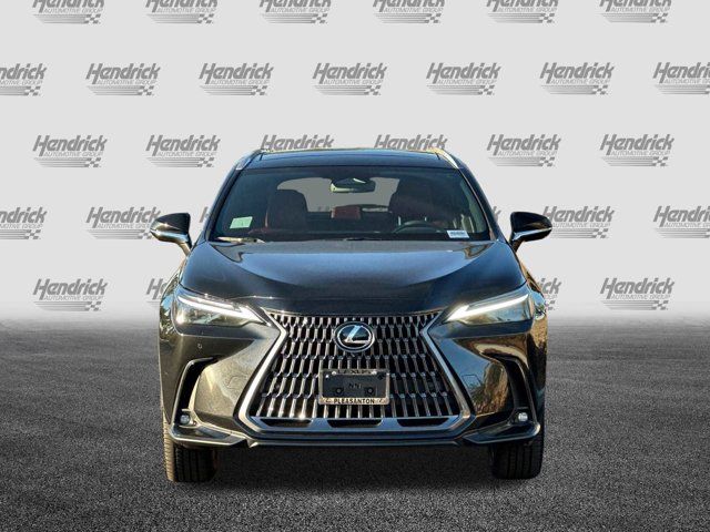 2025 Lexus NX 350h Luxury