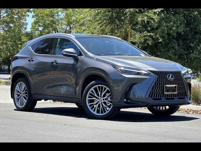 2025 Lexus NX 350h Luxury