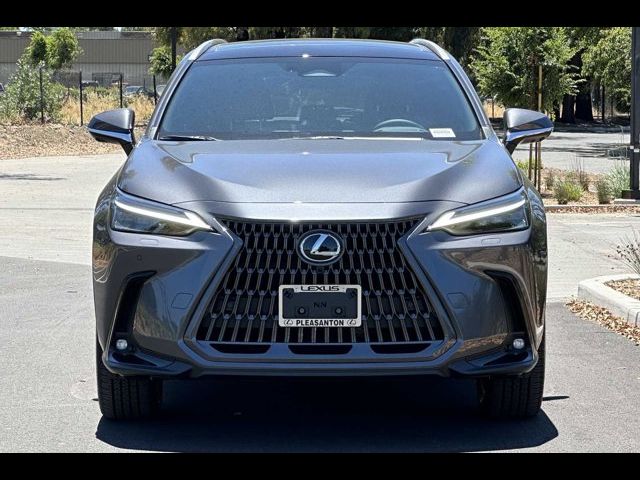 2025 Lexus NX 350h Luxury