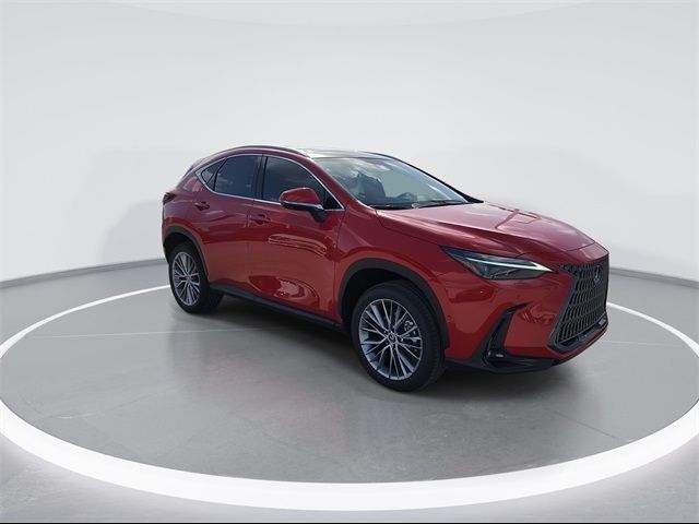 2025 Lexus NX 350h Luxury