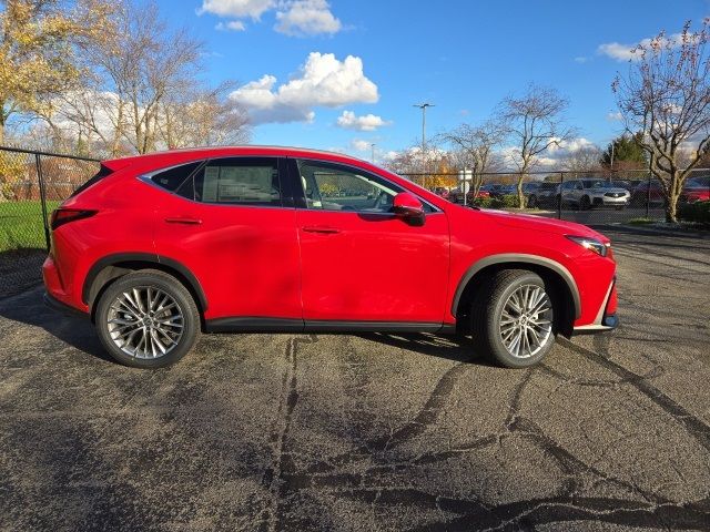 2025 Lexus NX 350h Luxury