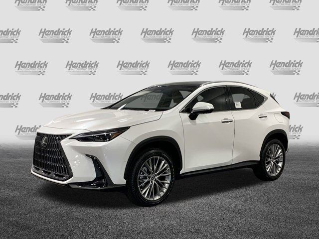 2025 Lexus NX 350h Luxury