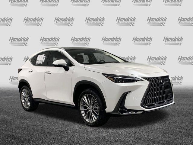 2025 Lexus NX 350h Luxury