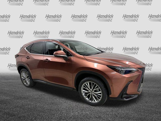 2025 Lexus NX 350h Luxury