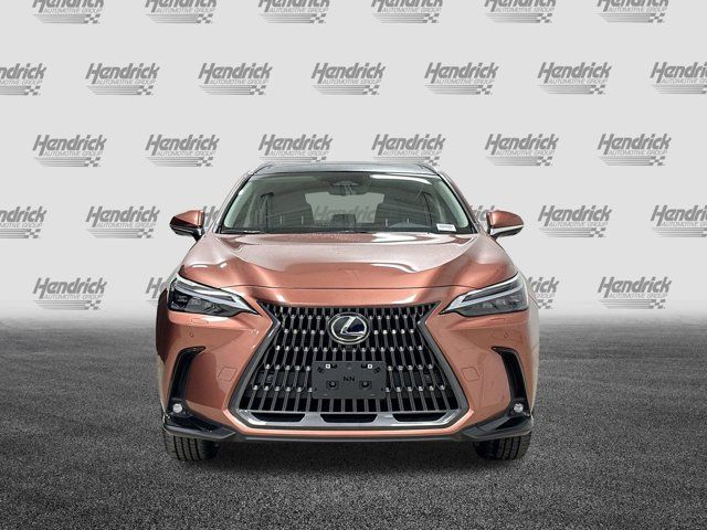 2025 Lexus NX 350h Luxury