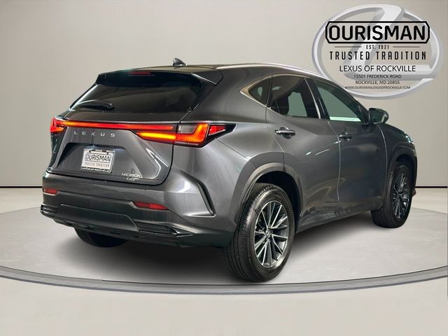2025 Lexus NX 350h Luxury
