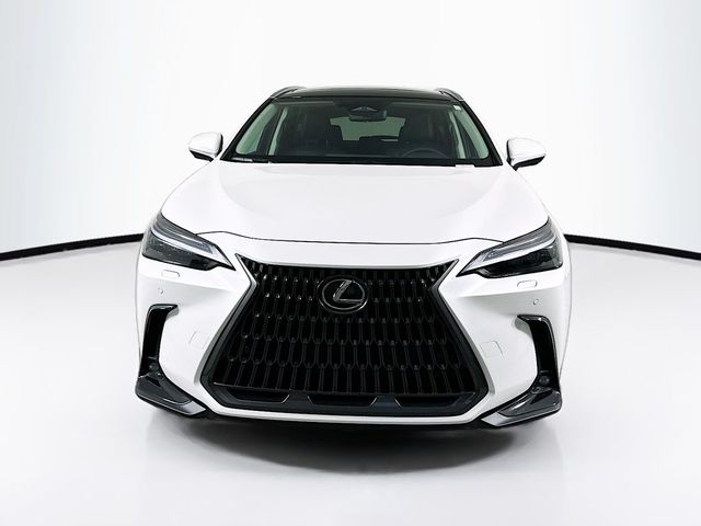 2025 Lexus NX 350h Luxury