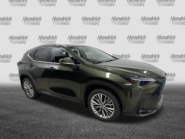 2025 Lexus NX 350h Luxury