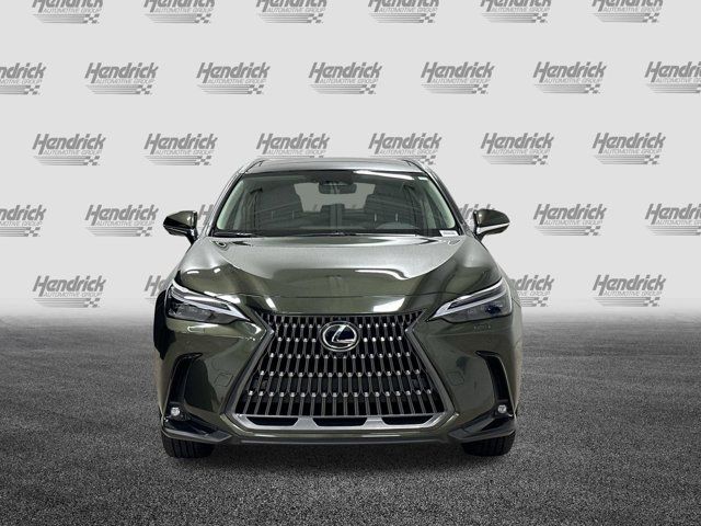 2025 Lexus NX 350h Luxury