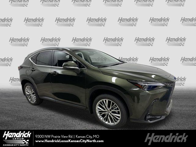 2025 Lexus NX 350h Luxury