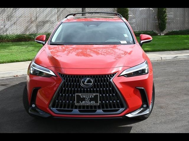 2025 Lexus NX 350h Luxury