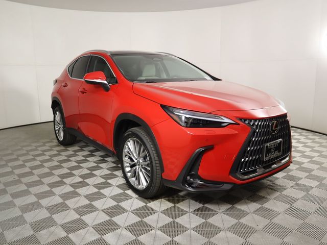 2025 Lexus NX 350h Luxury