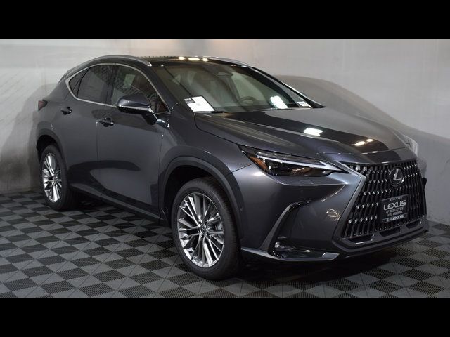 2025 Lexus NX 350h Luxury