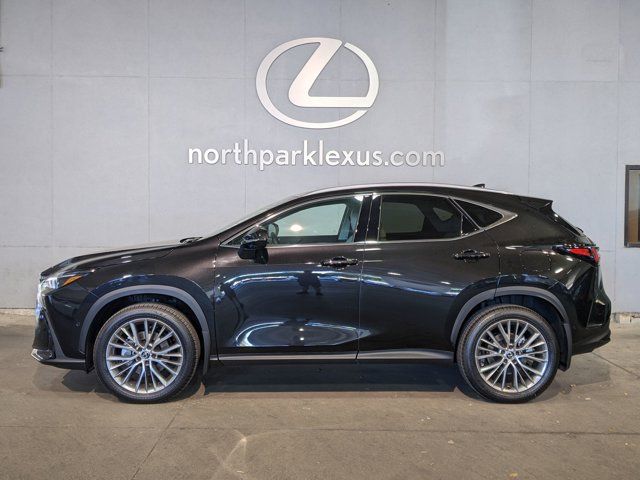 2025 Lexus NX 350h Luxury