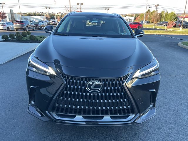 2025 Lexus NX 350h Luxury