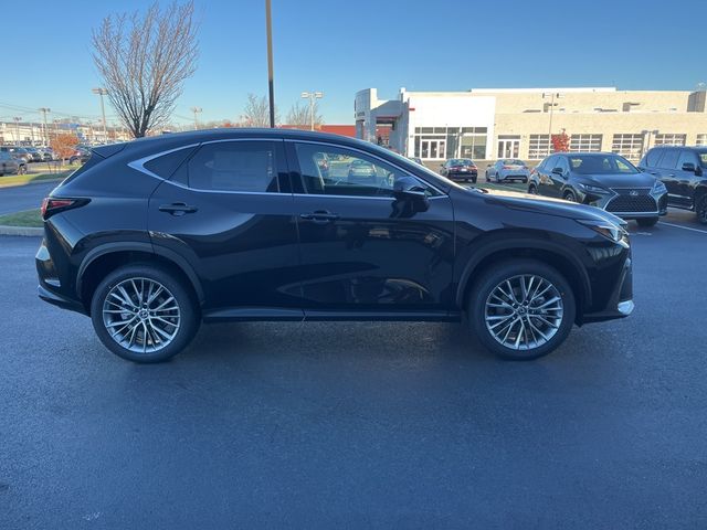 2025 Lexus NX 350h Luxury