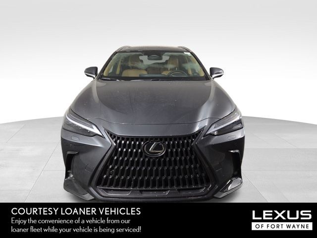 2025 Lexus NX 350h Luxury