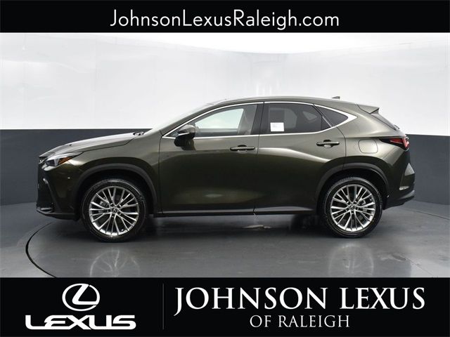 2025 Lexus NX 350h Luxury