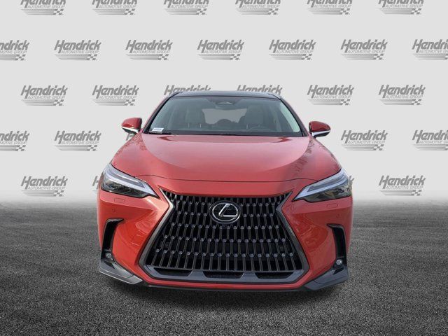 2025 Lexus NX 350h Luxury