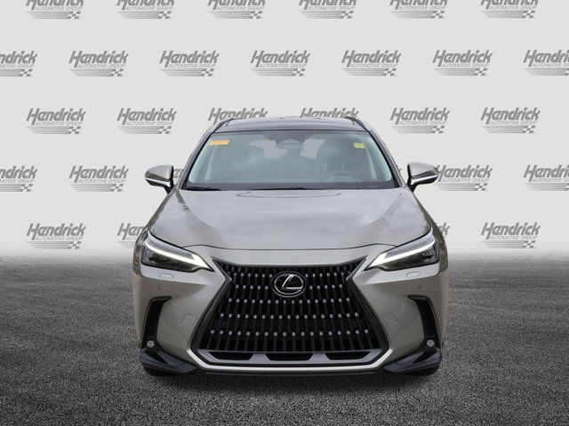 2025 Lexus NX 350h Luxury