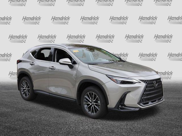 2025 Lexus NX 350h Luxury