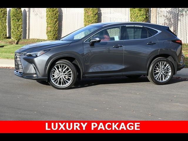 2025 Lexus NX 350h Luxury