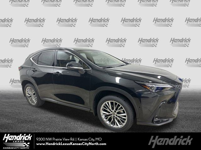 2025 Lexus NX 350h Luxury