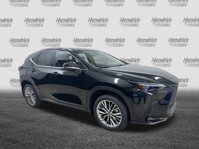 2025 Lexus NX 350h Luxury