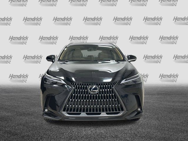 2025 Lexus NX 350h Luxury