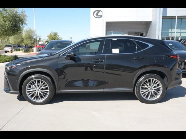 2025 Lexus NX 350h Luxury