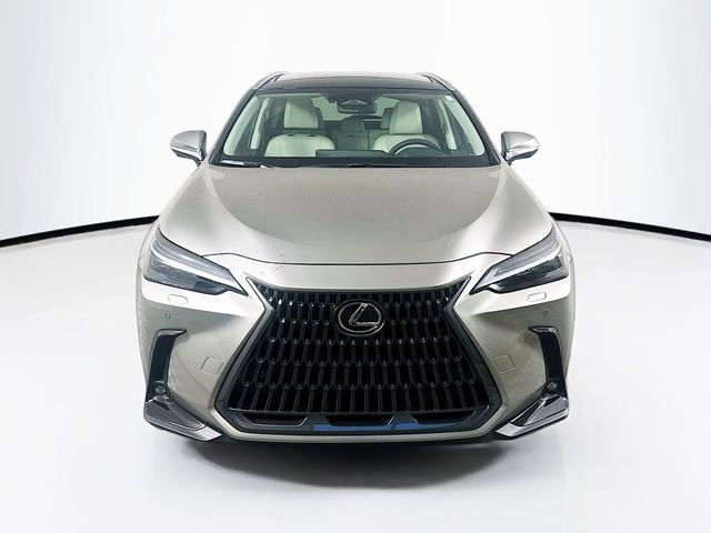 2025 Lexus NX 350h Luxury