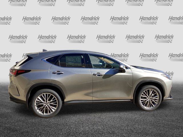 2025 Lexus NX 350h Luxury