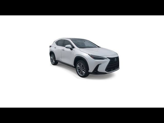 2025 Lexus NX 350h Luxury