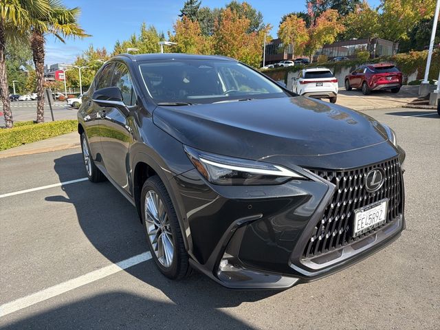2025 Lexus NX 350h Luxury