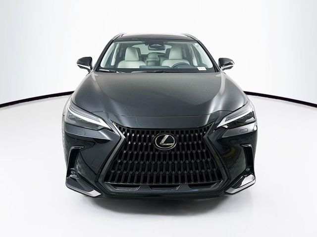 2025 Lexus NX 350h Luxury