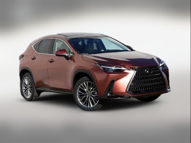 2025 Lexus NX 350h Luxury