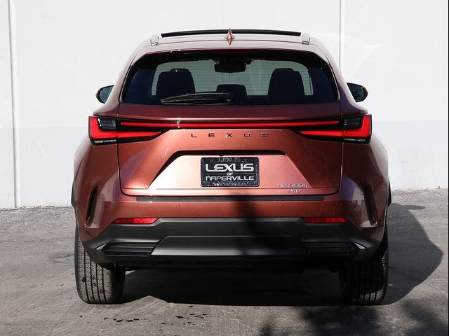 2025 Lexus NX 350h Luxury