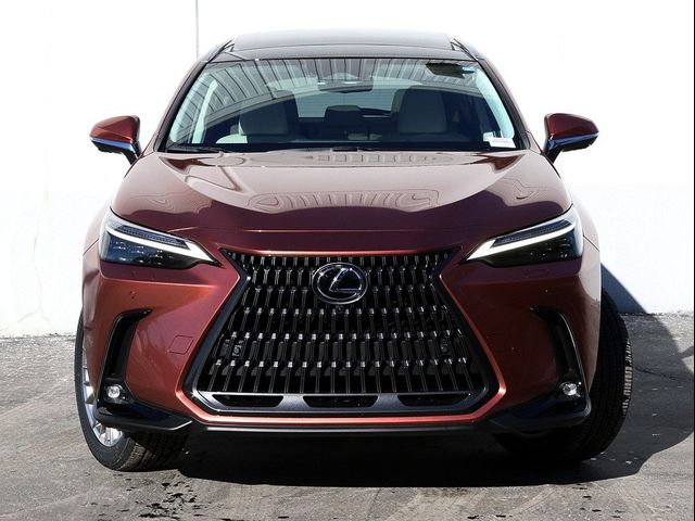 2025 Lexus NX 350h Luxury