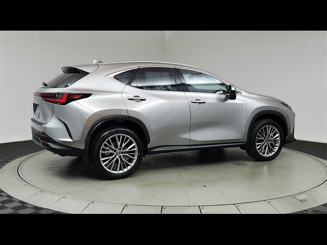 2025 Lexus NX 350h Luxury