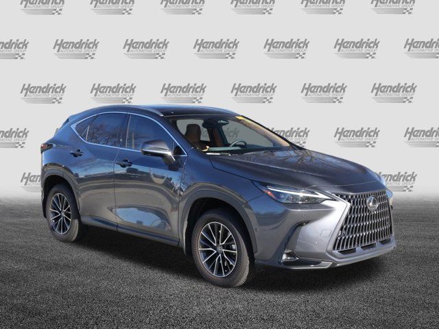 2025 Lexus NX 350h Luxury