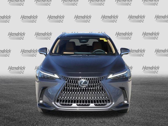 2025 Lexus NX 350h Luxury