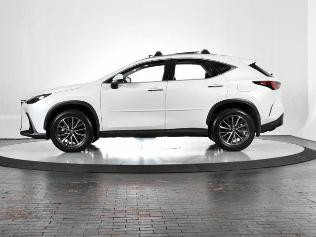 2025 Lexus NX 350h Luxury