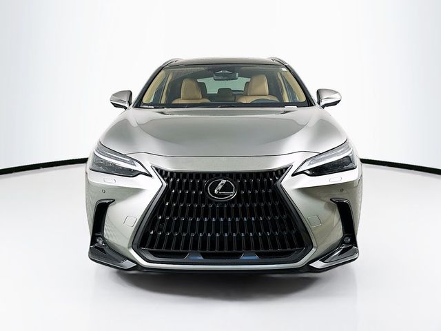 2025 Lexus NX 350h Luxury