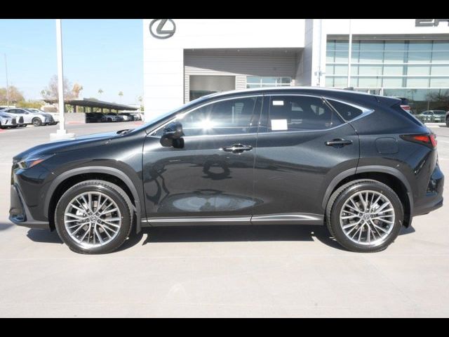 2025 Lexus NX 350h Luxury