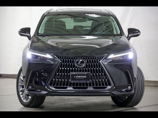 2025 Lexus NX 350h Premium