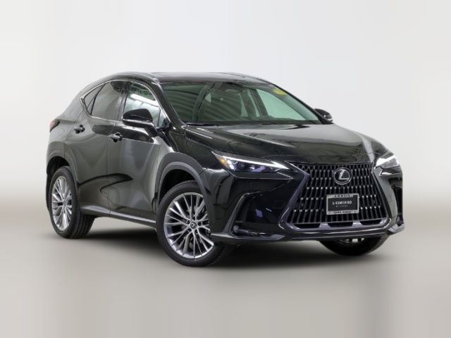 2025 Lexus NX 350h Premium